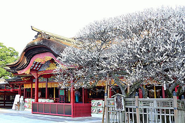 「応天の門」で平安の京にタイムスリップ
